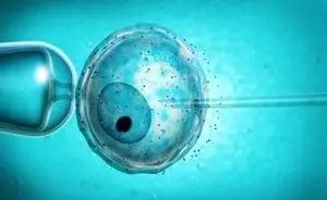 卵子凍結保存