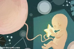 私人同性代怀助孕怎么收费